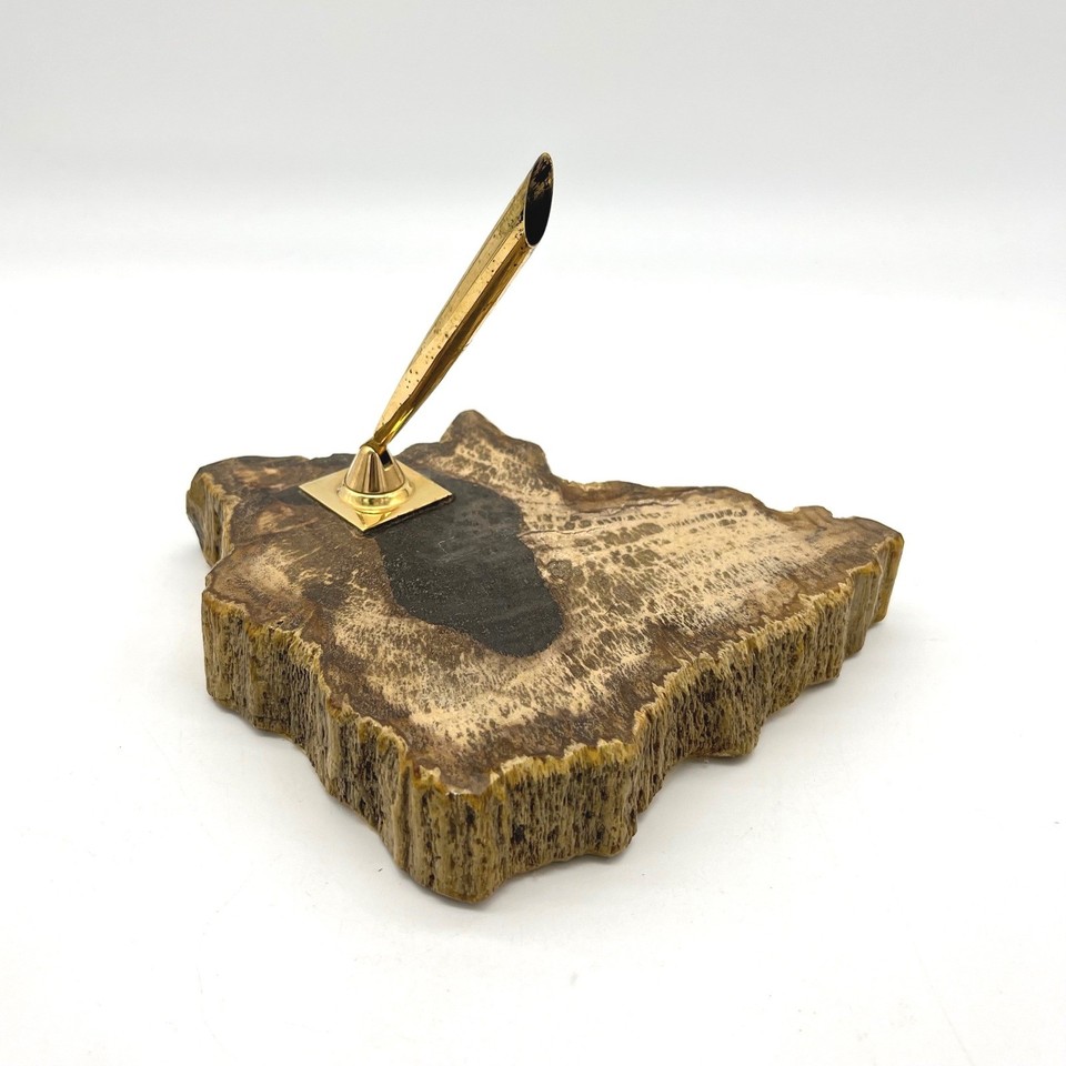 A pen holder literally carved from prehistoric petrified wood — millions of years old, sitting on your desk holding a Bic.