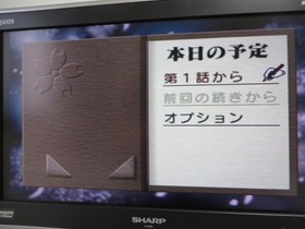 SS (Sega Saturn) Sakura Wars Ⅱ [Used item/Confirmed launch]