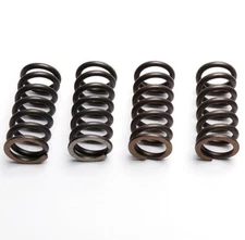 EBC Clutch Spring Set (4 PCS) Honda MT 50 S 1980 - 1993