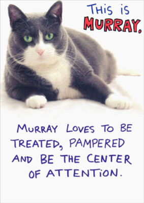 Recycled Paper Greetings Murray Funny / Humorous Cat Birthday Card