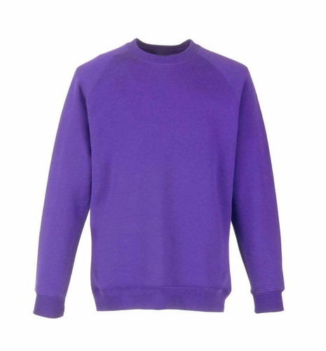 Girls Unisex Jumper Sweatshirt Crew Round Neck School Uniform PE2-13 Years/XS-XL - Picture 8 of 13