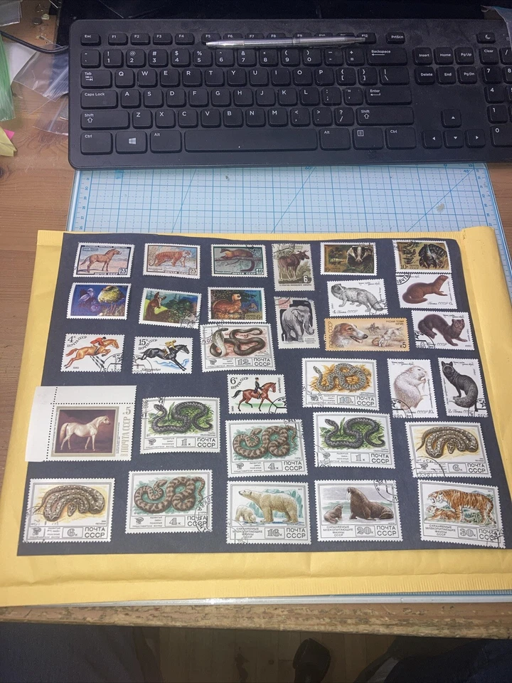 31 estampillas de colección de animales/serpientes de la URSS 1964-1988. Cancelado/HR. Envíos de $1. UN LOOK DE OFERTA Foto 2 de 4