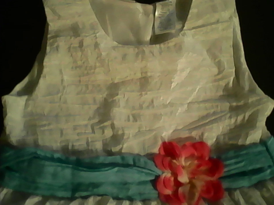 Blueber Boulevard - Vestido talla 5 ideal para asuntos formales Foto 2 de 4