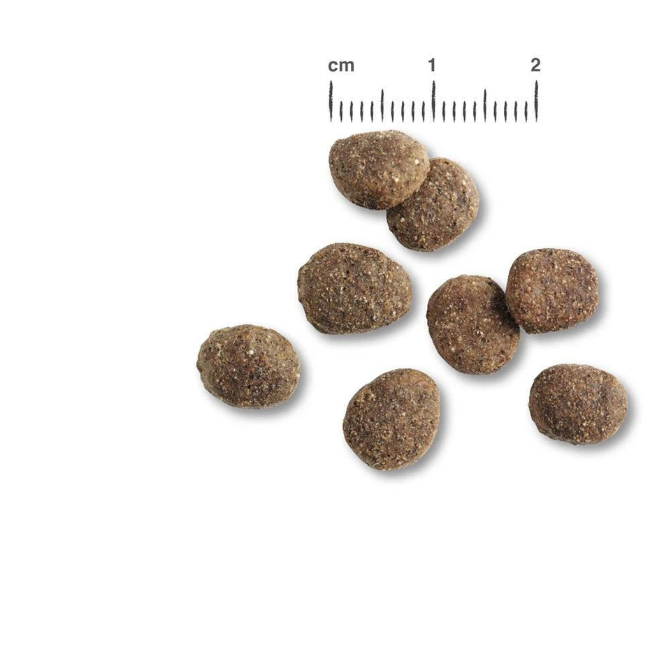 Belcando Finest Croc 12,5 kg - Trockenfutter für kleine und mittelgroße Hunde - Bild 2 von 2