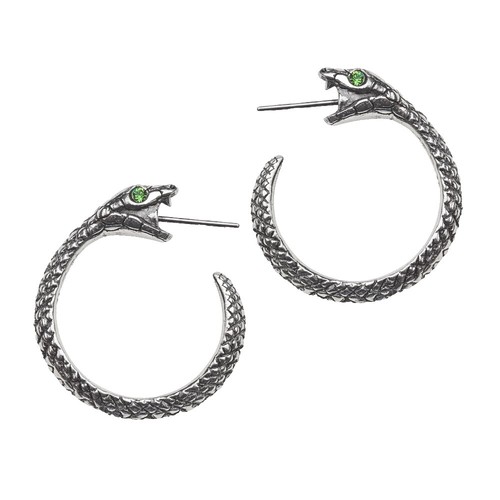Backe-Fetter Ring Pewter RS6 Alchemy Gothic | eBay