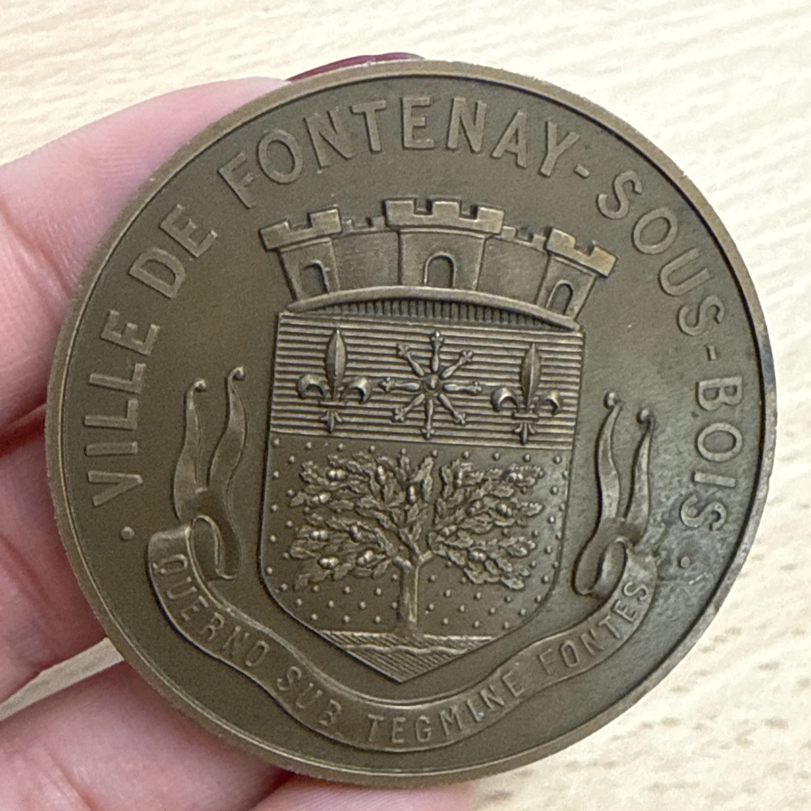 Médaille Ville De Fontenay Sous Bois En Bronze 1980