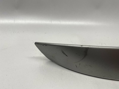 BMW Z4 Roadster E85 Trim Cover Left Side Handle Silver Genuine  
