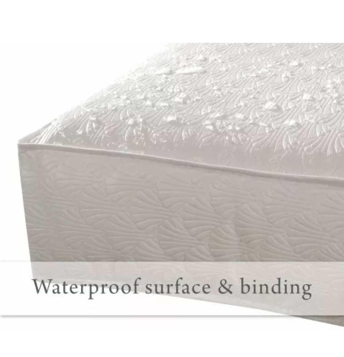 sealy soybean everedge