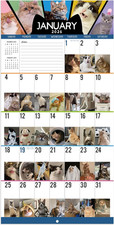 2026 Wall Calendar - Funny Cats Calendar 2026, 12" X 24" Open , Jan.2026 - Dec.
