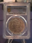 1900 Morgan Silver Dollar PCGS MS61 Gold Shield Protected Graded 01/2026