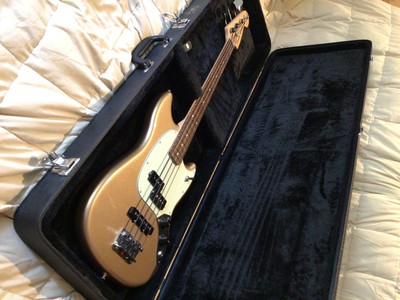 fender mustang bass guitar case