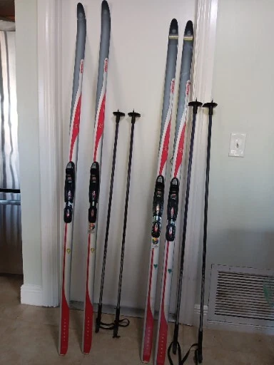 Alpina store backcountry skis