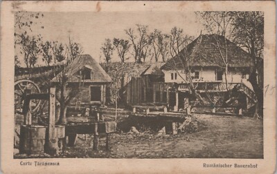 (RB)2024-131 (RSc) Postcard, Photo Curte Täräneasca, Rum. Farm 1917