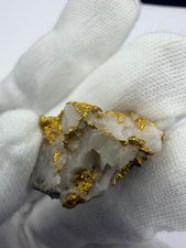 High Grade Australian Quartz Bearing Gold Specimen