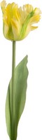 Clayre & Eef 5PL0385Y Dekorationszweig Mit Blumen Gelb GrüN 61 Cm