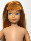 Vintage Barbie COPPER RED  SKIPPER Doll   (1960s)