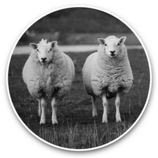 2 x Vinyl Stickers 15cm (bw) - Awesome Sheep Flock Farm Farmer  #36688