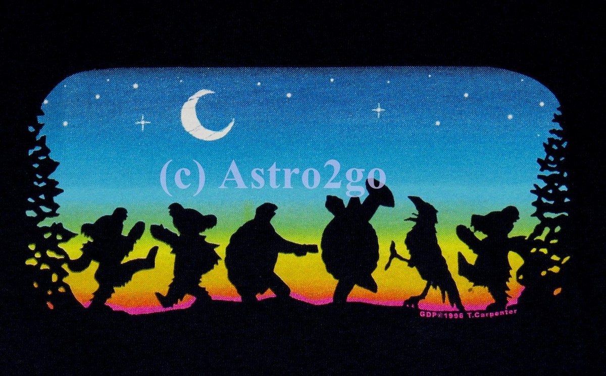 MOONDANCE-Grateful Dead & Co. Night Animals Crow Terrapin Dancing