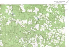 Miccosukee NE Quadrangle Georgia-Florida 1957 USGS Map 7.5 Minute Topographic