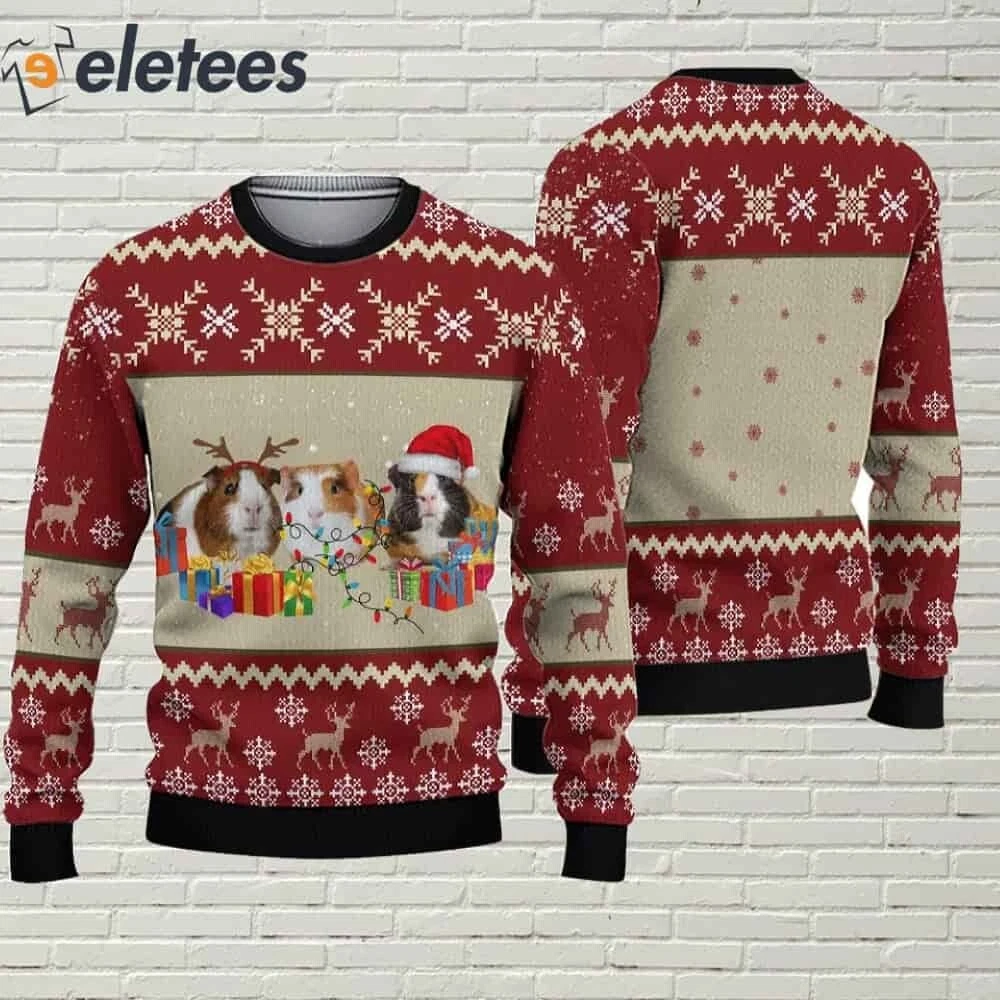 Guinea Pig Gift Box Ugly Christmas Sweater Y9B30AUG