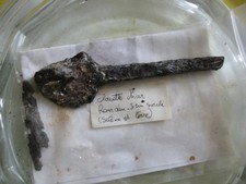 clavette d un char romain du III ème siècle