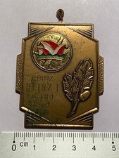 Carnival medals 1974 Prince Heinz Gleuel Frechen Bachem Cologne Rhine carnival
