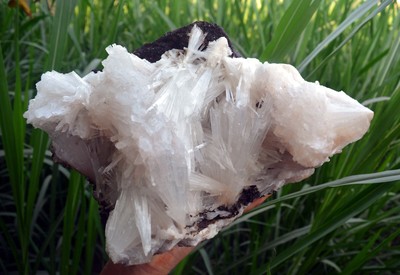 scolecite spray formation minerals specimen j-7