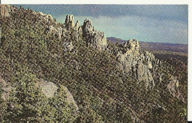 NICE VINTAGE PHOTO  POSTCARD BLACK HILLS OF SOUTH DAKOTA
