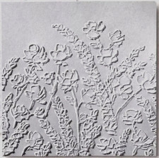 NEW Stampin' Up PAINTED POSIES 6"x 6" 3D Embossing Folder FLORAL BACKGROUND