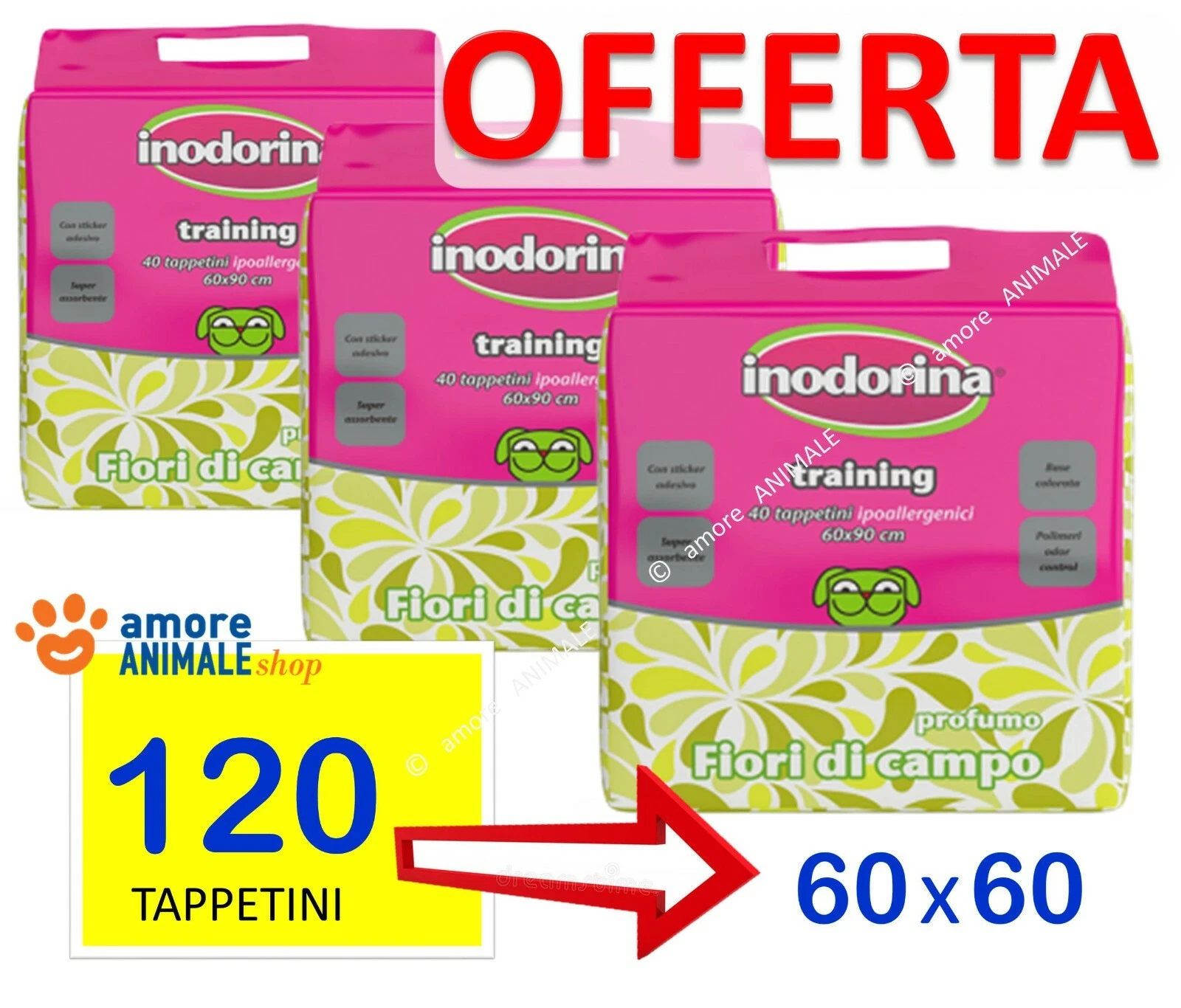 Foto 4 di 5