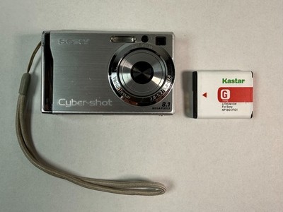 Sony Cyber-shot DSC-W90 8.1MP Digital Camera