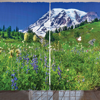 Mount Rainier Rustikale Gardine Lupin Blumen Frühling