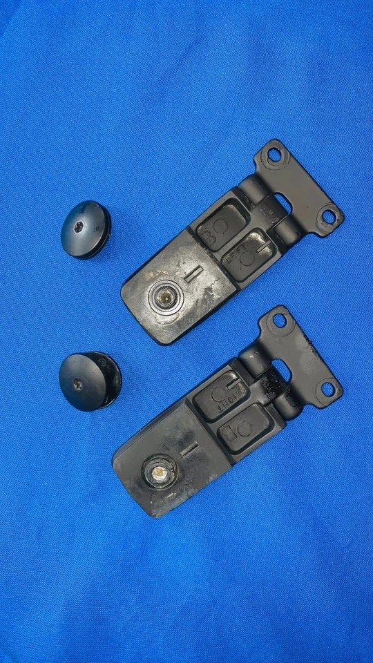 OEM 91-97 Ford Explorer Puerta Trasera Puerta Trasera Vidrio Ventana Bisagras - PAR Foto 2 de 3