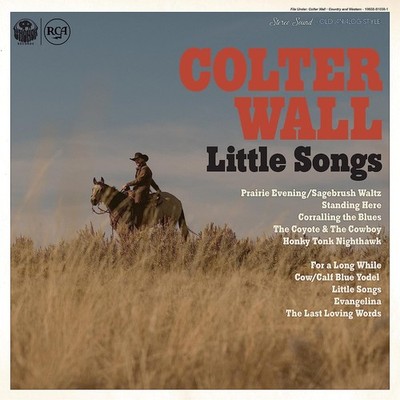 Colter Wall Little Songs (Vinyl) 12'' Album Coloured Vinyl (Limited Edition)