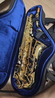 Yanagisawa A-WO10 Alto Saxophone Professional Model Made in Japan Tested