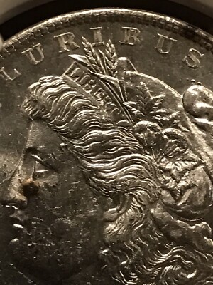 タイラーページ 1878 7/8TF $1 NGC Graded MS 62 (VAM-33) 7/4TF 5849573-009 Morgan