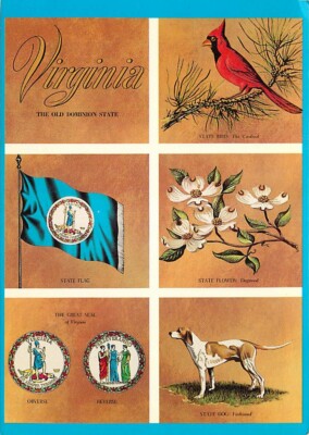 Virginia Cardinal Sign Postcard State Symbols of Virginia - Cardinal, Flag, Dogwood, Foxhound ...
