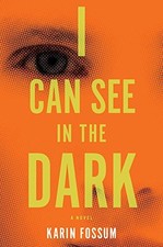 I Can See in the Dark by Fossum, Karin