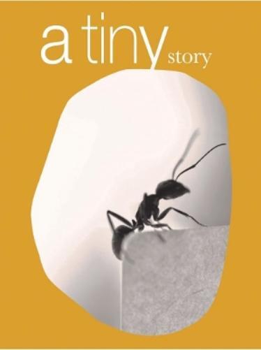 Fernando Maquieria Fernando Maquieira: A Tiny Story (Copertina rigida)