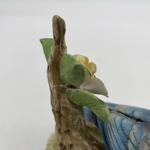 Andrea by Sadek Porcelain Bluebird With Yellow Flowers Figurine and Wood Stand - Picture 15 of 15