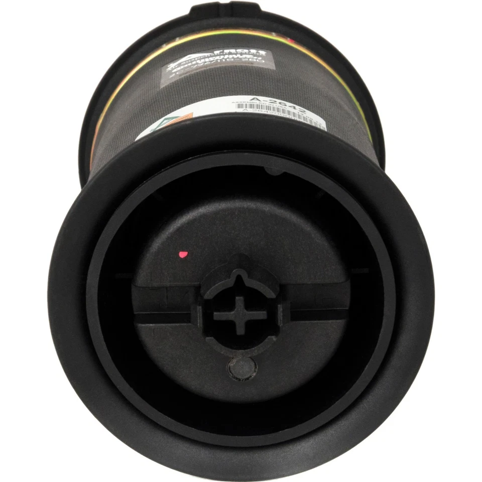 Amortiguador de resorte neumático y puntal trasero lado conductor o pasajero Arnott A-2642 para X6 X5 Foto 3 de 4