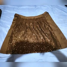 Ronson sequin skirt