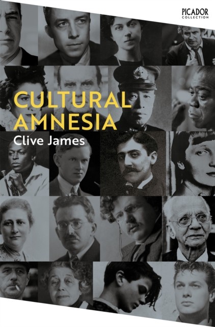 Cultural Amnesia Notes in the Margin of My Time by Clive James (Paperback Book)