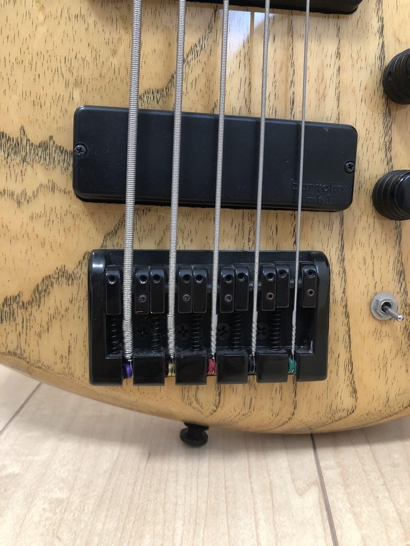 Cort 5-String Bass B5 20th Anniversary with Case | eBay