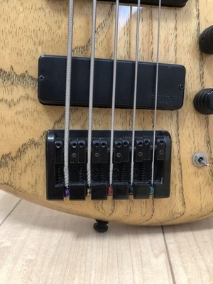 Cort 5-String Bass B5 20th Anniversary with Case | eBay