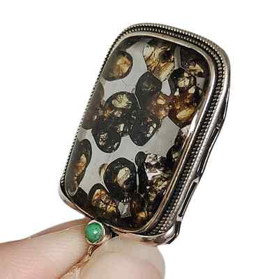 Meteorite pendant, Brenham Pallasite Meteorite pendant Necklace 925 silver lk045