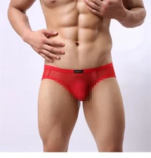 Fashion Gay Underwear Sissy Panties New Men's Transparent Mesh Low Rise Briefs