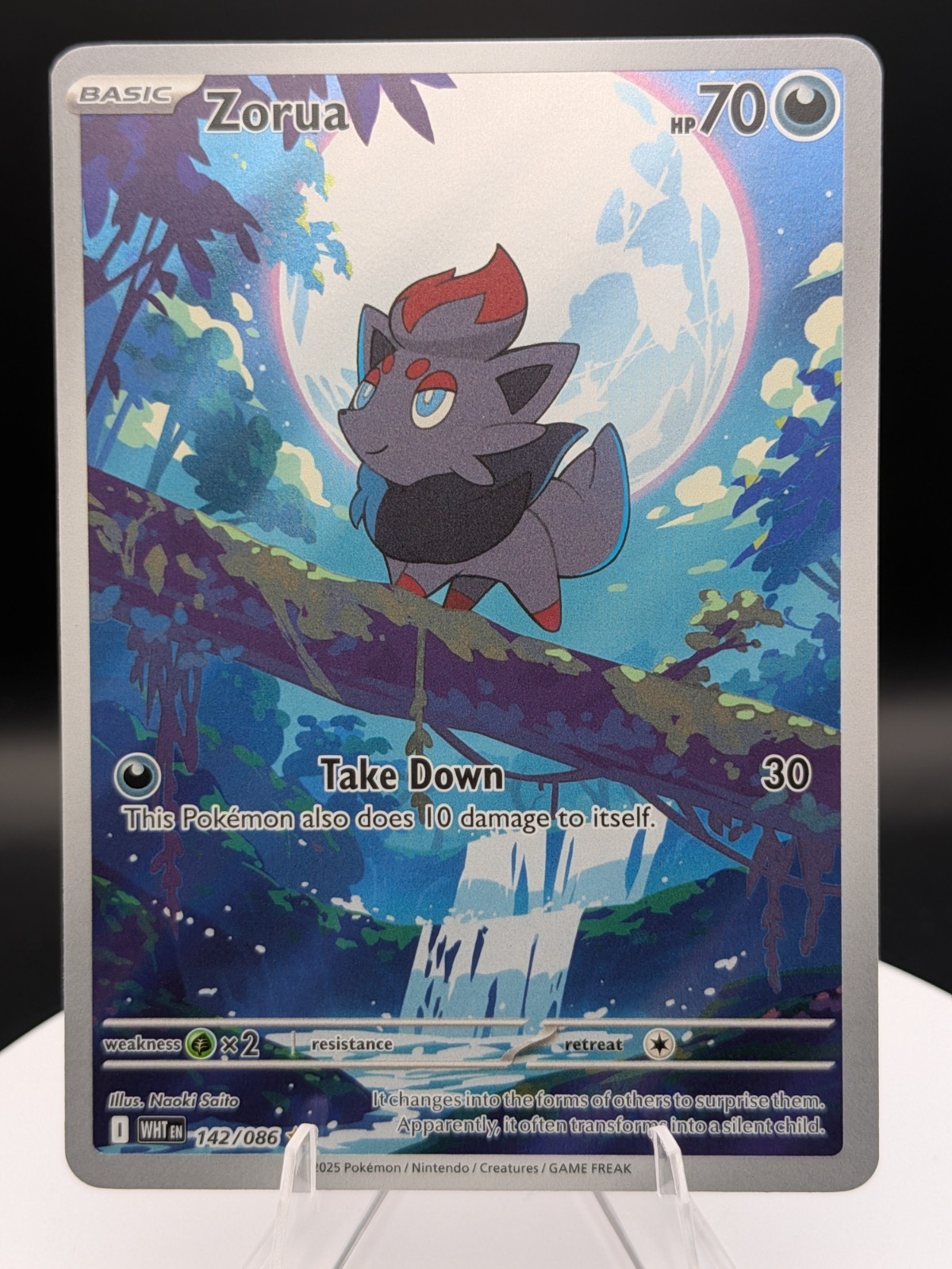 Pokemon TCG: White Flare (142/086) Zorua Illustration Rare (NM)
