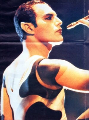 FREDDIE MERCURY - PRINCE - POSTER DOUBLE FACE - Photo 1/4
