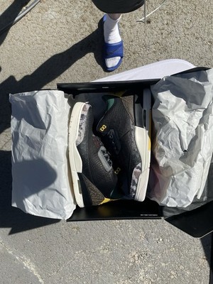 Brand New Jordan 3 Animal Instinct 2.0 Sneakers Size 11M Brand New OG All   